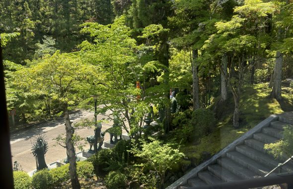 奈良の着付け教室【大和美流着物学院】文化庁伝統文化推進奈良総会霊山寺