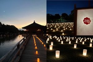 奈良の着付け教室「大和美流着物学院」燈花会写真